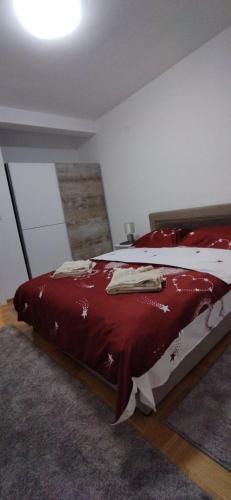Apartman Davidovi? 31