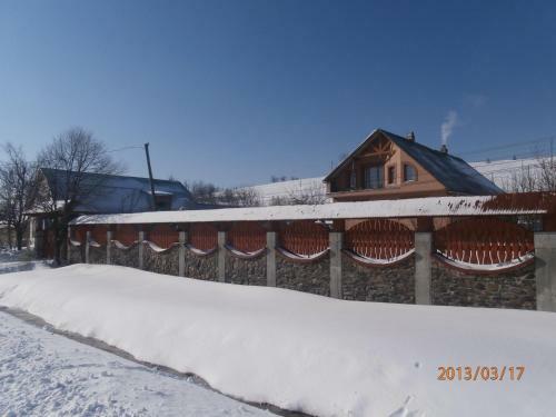 Apartamento Karpatskiy Domyk