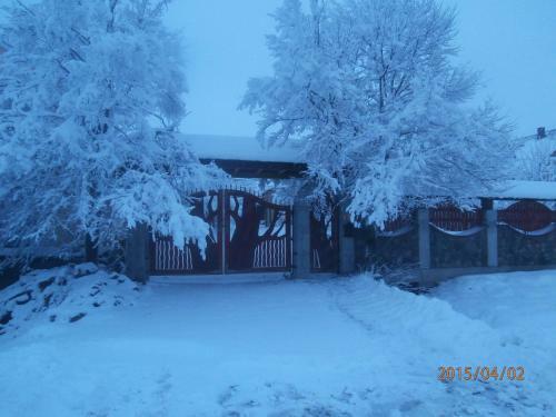 Apartamento Karpatskiy Domyk