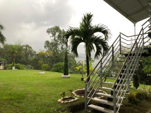 Aventurina