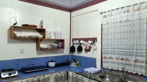 Hostal Wildlife Art House
