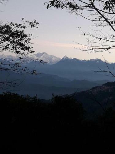 Hotel Himalaya Residency