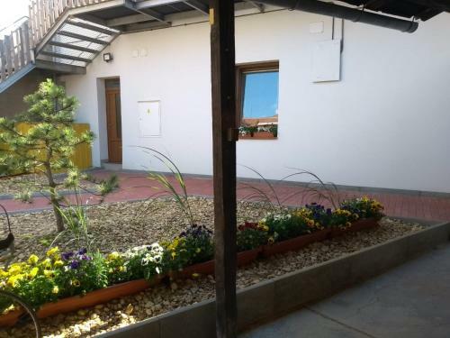 Apartm�ny Lono