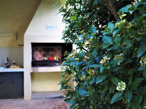 Agroturismo Aroma De Campo