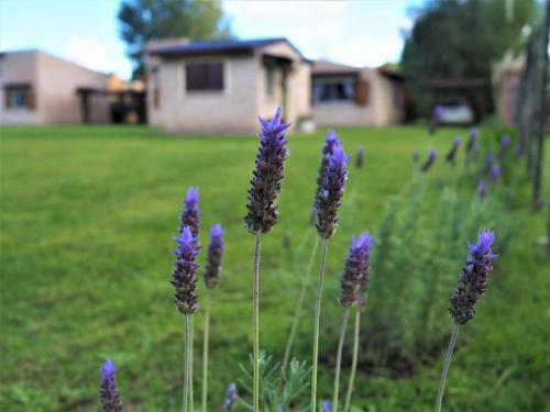Agroturismo Aroma De Campo