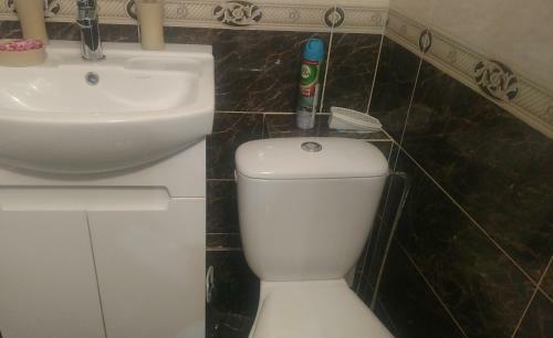 Magnificent Apartment In Central Lviv