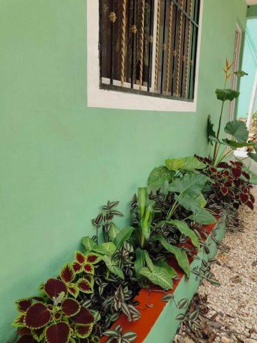 Apartamento Casa P�a Luxury Valladolid Yucat�n