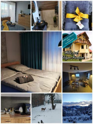Hostal Willa Pod Z?otym Groniem
