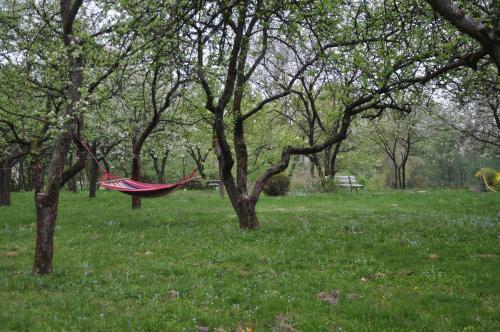 Apartamento Skrzyd?o Anio?a