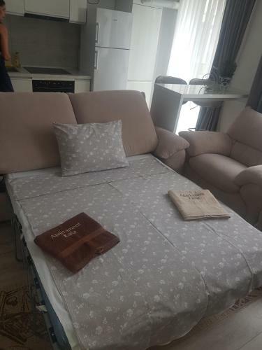 Apartament Ana Premium