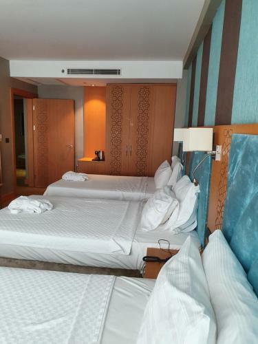 Esila Termal Hotel & Spa