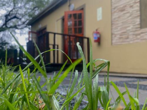 Hostal The Brook Villa