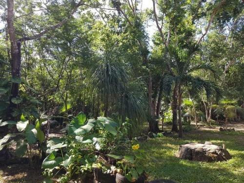 Apartamento Villas Colibris Cozumel