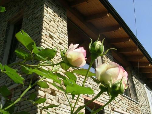 Apartamento Casafi� Grotta