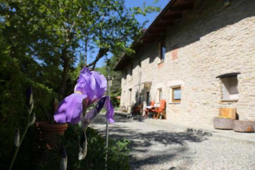 Apartamento Casafi� Grotta