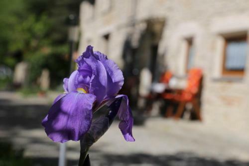 Apartamento Casafi� Grotta