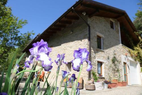 Apartamento Casafi� Camino