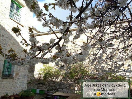 Hostal Morfeas Guesthouse