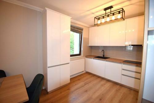 Luxury Apartment Central