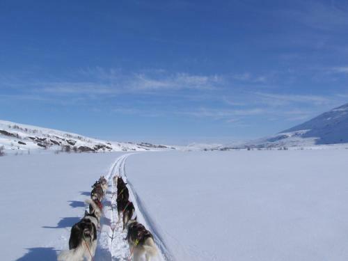 Tiny Lakeside Home