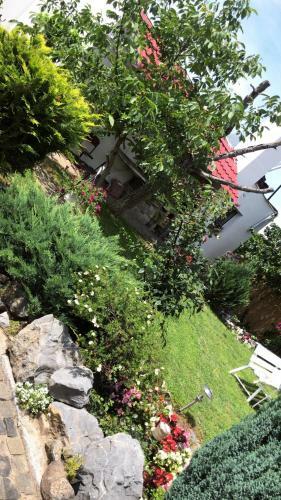 Hostal Pensiunea Elim