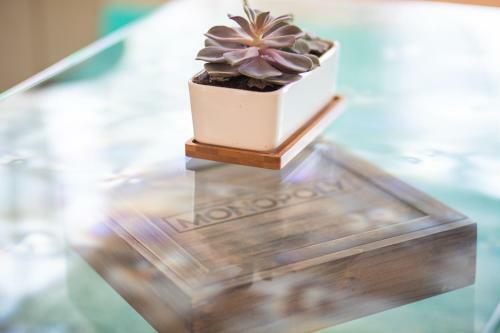 Apartamento Seashell Escape