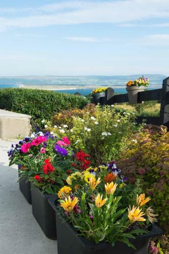 On The Rocks B&B