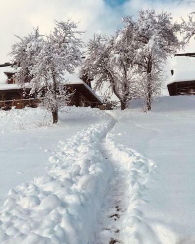 Lodge Maciejewka