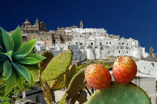 Apartamento Casa Il Tramonto