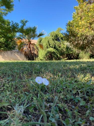 Apartamento Le Garden Cocoon