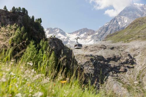 Bed & Breakfast Pension Dangl - Glacier Rock