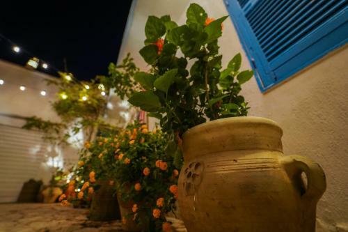 Apartamento Il Cortiletto B&B