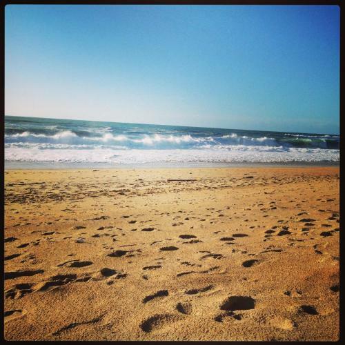 Apartamento Studio Entre Lac Et Oc�an � Hossegor