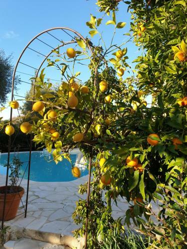 Bed & Breakfast Villa Mia