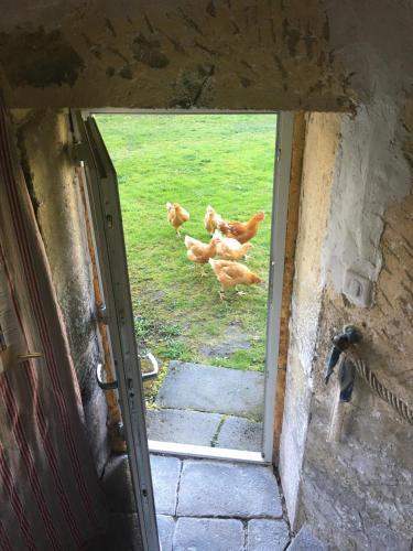 Gites Le Vieux Vinzelles