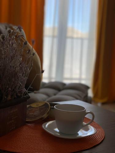 Apartamento Bakuriani Plaza A317