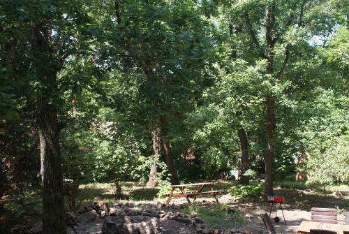 Apartamento Rianas Utca Palkove
