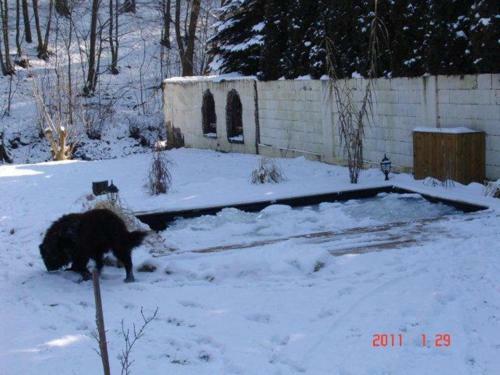 Apartamento B�rzs�nyliget Vend�gh�z