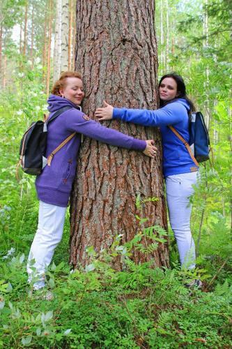 Hotel Loikansaari Lomam�kit Holiday Cottages