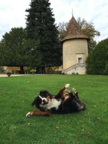 Bed & Breakfast Chateau De Maumont