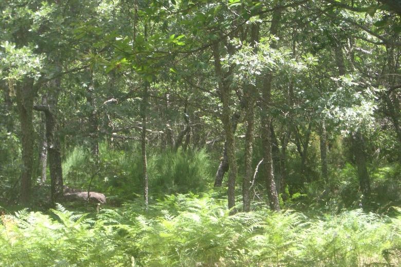 La Coral De Sanabria