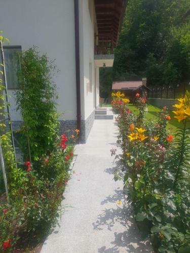 Hostal Green Forest Bran House