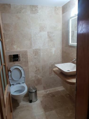 Hostal Green Forest Bran House
