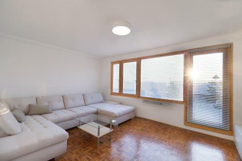 Bright Penthaus Apartement, With A Wonderful View