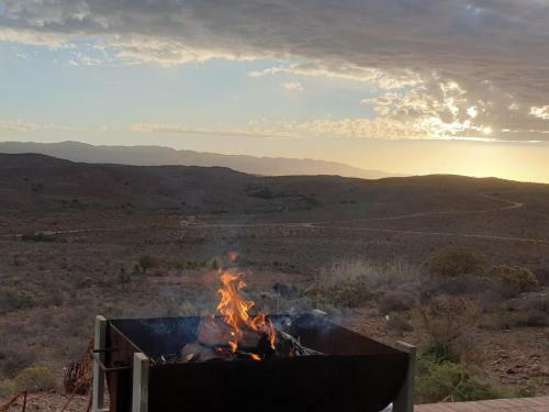 Lodge Bellair Wild