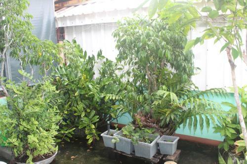 Mara�o's Home Care