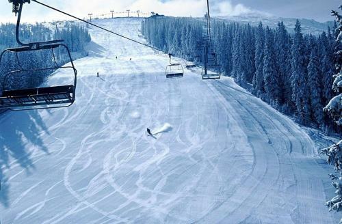 Chalupa Liptovsk� Mikul�?