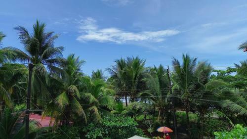 Hostal Pura Natura