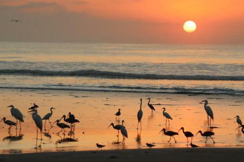 Four Monkeys House -cabo Matapalo Surf