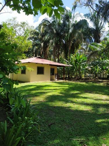 Four Monkeys House -cabo Matapalo Surf